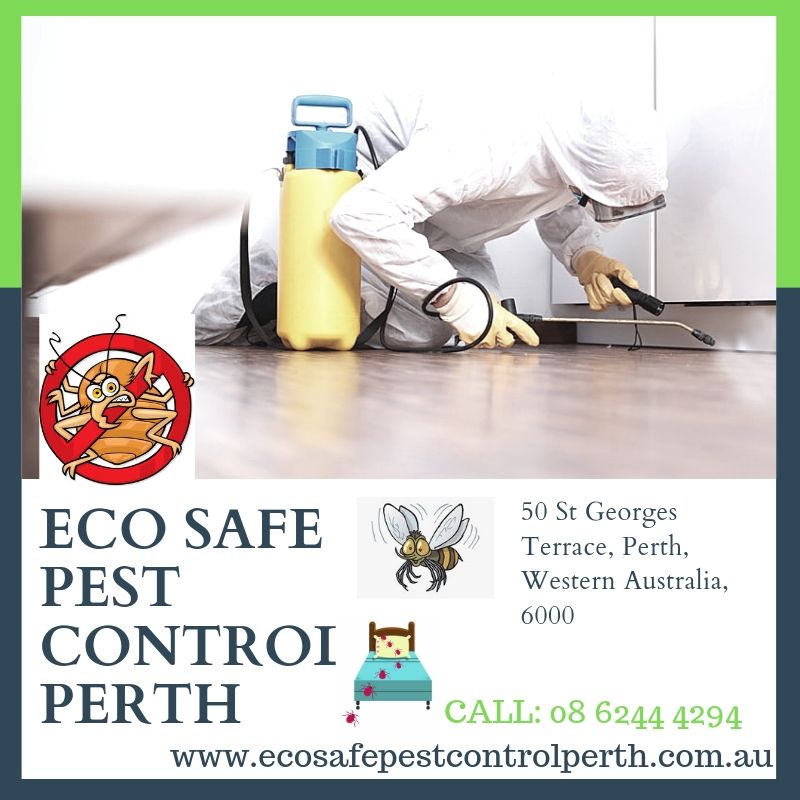 Eco Safe Pest Control Perth