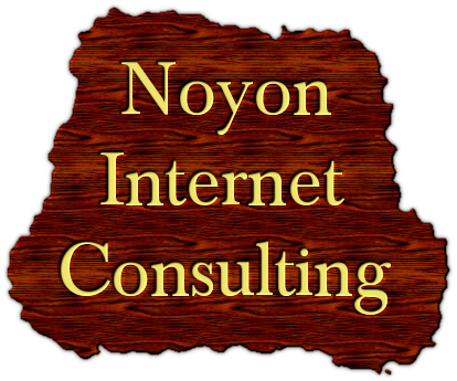 Noyon Internet Consulting