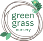 Best Nursery in Jumeirah | Green Grass Nursery