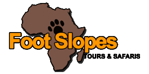 Tanzania Safari Tours & Holidays