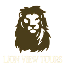 Lion View Tours