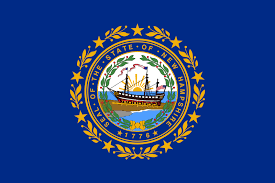 New Hampshire License Plate Search