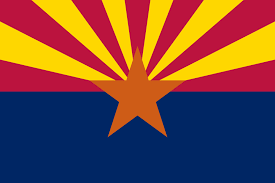 Arizona License Plate Search