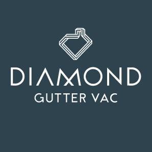 Diamond Gutter Vac