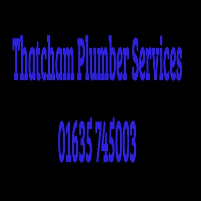Thatcham Plumber Services