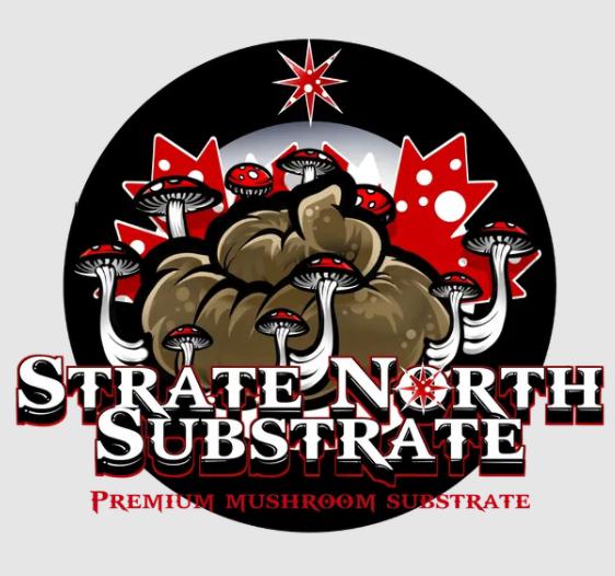 Strate North Substrate