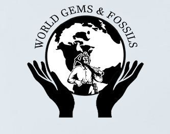 World Gems & Fossils