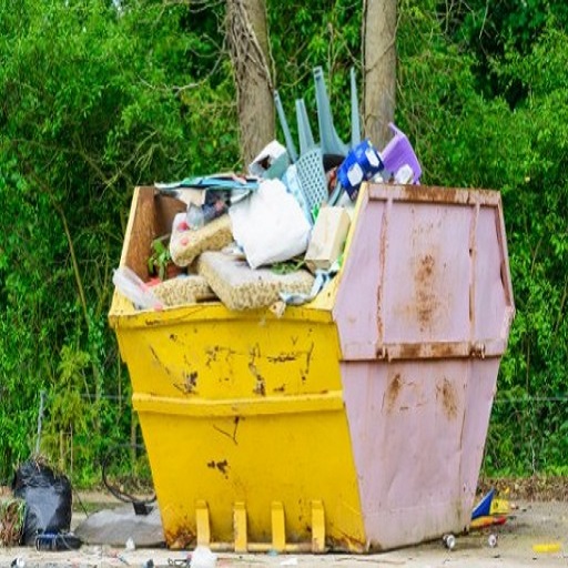 Havering Skip Hire