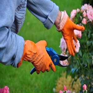 Landscapers Maida Vale