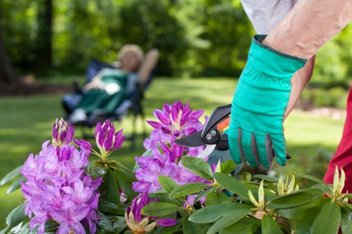 Landscapers Ealing