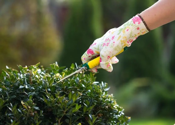 Landscapers Leyton