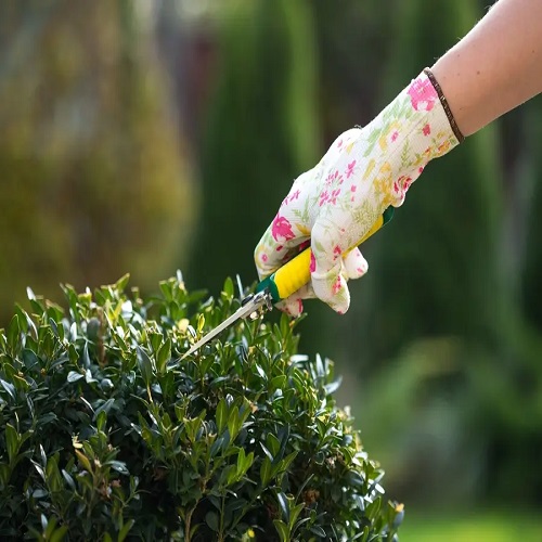 Landscapers Forest Gate