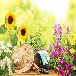 Landscapers Kensington