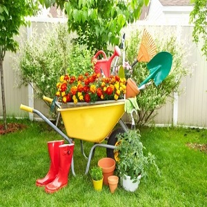 Landscapers Chiswick
