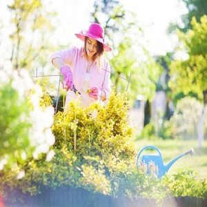Landscapers Clapham
