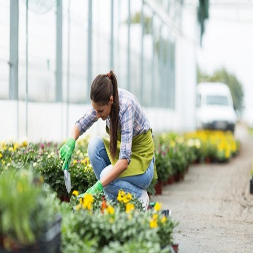 Landscapers Golders Green