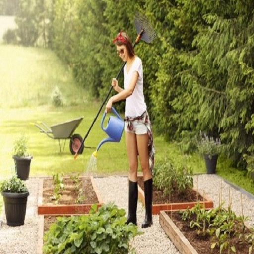 Pressure Washing Hornsey