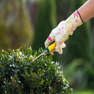 Pressure Washing Bayswater
