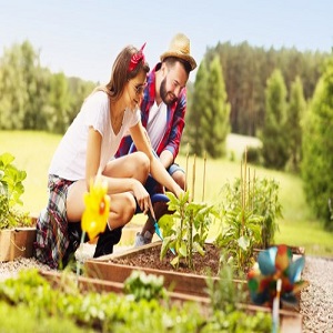 Landscapers Hampstead