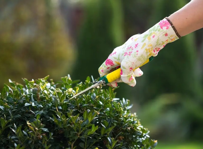 Landscapers Southwark