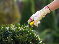 Pressure Washing Sydenham
