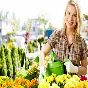 Pressure Washing Kings Cross