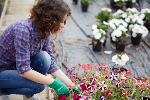 Landscapers Tottenham