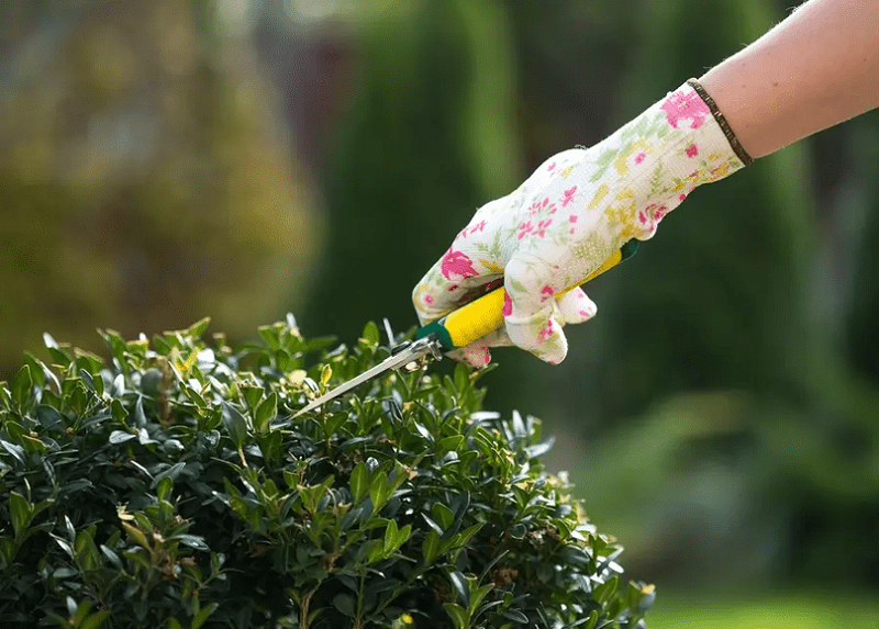 Pressure Washing Uxbridge