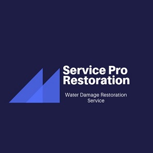 Service Pros Restoration of Alexandria
