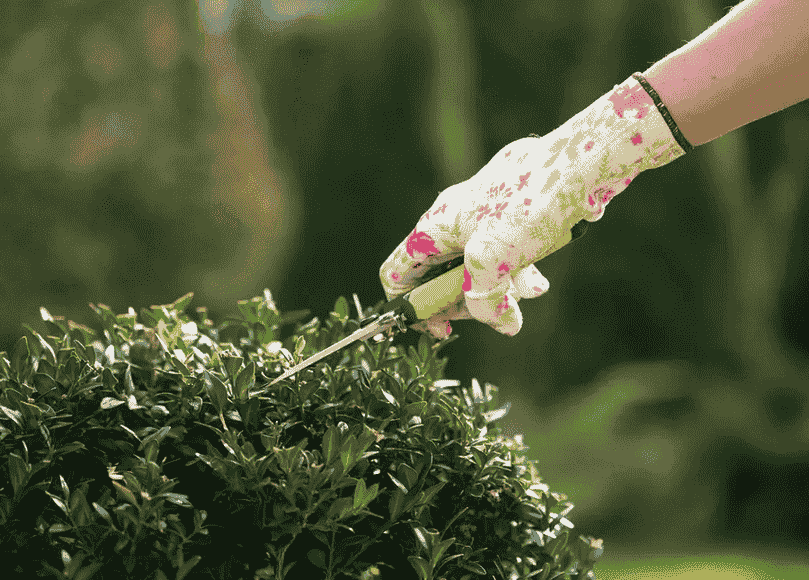 Pressure Washing Victoria