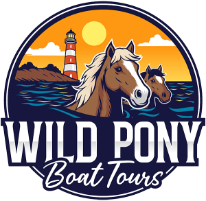 Barnacle Bill's Wild Pony Boat Tours