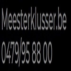Meester klusser