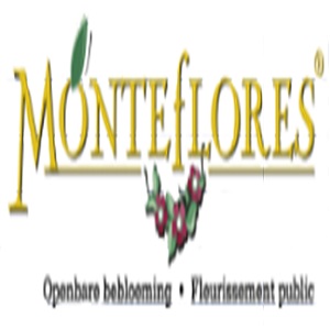 Monteflores