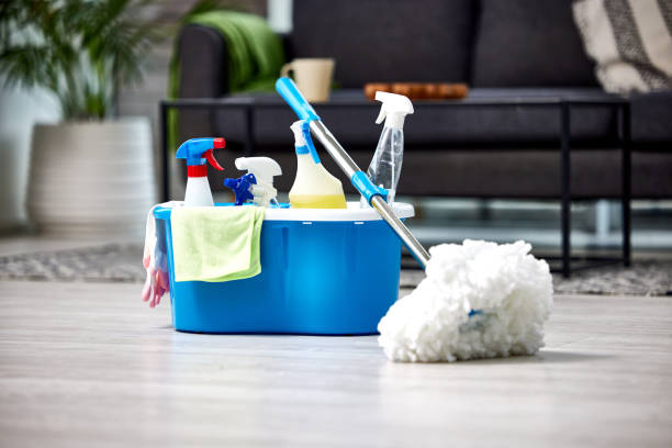 House Cleaning Services