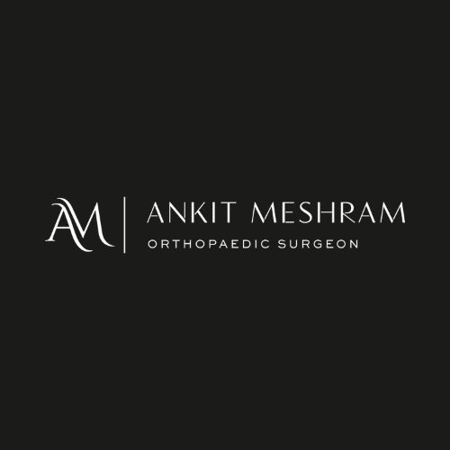 Dr. Ankit Vilas Meshram