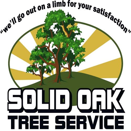 Solid Oak Tree Service