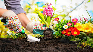 Home gardening