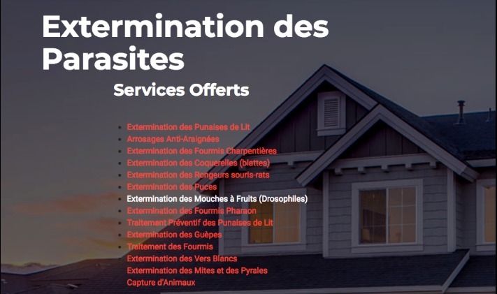 Extermination 911 Pointe-Claire - Exterminateur West Island