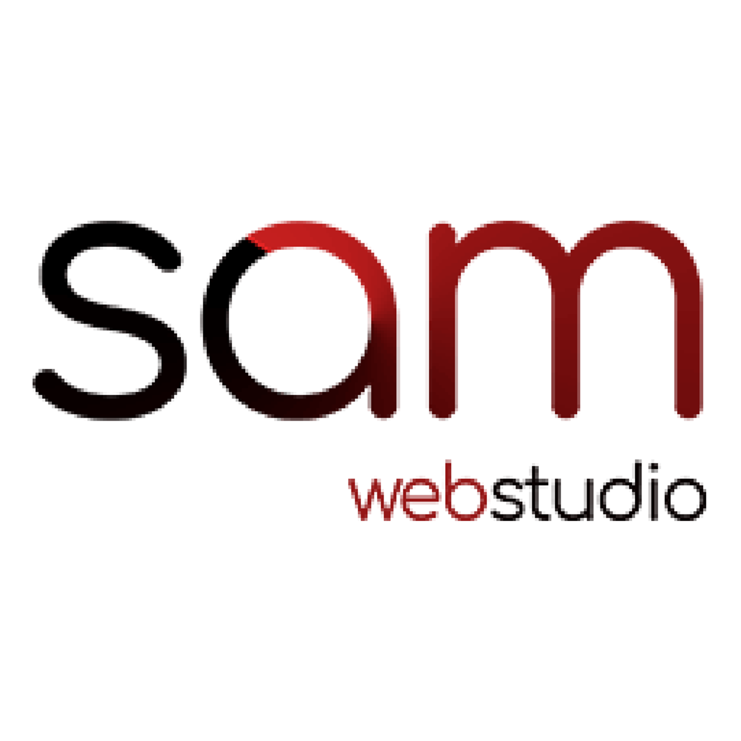sam web studio- a web and application development firm delhi, india