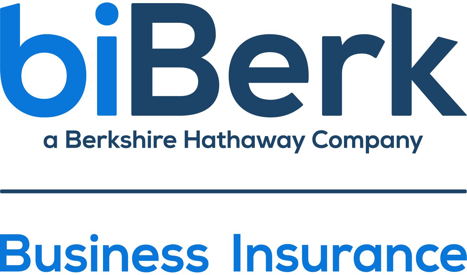 biBerk Insurance Services, Inc.