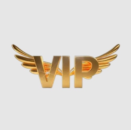 Your VIP Limo