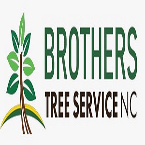Brothers Tree Service NC , LLC