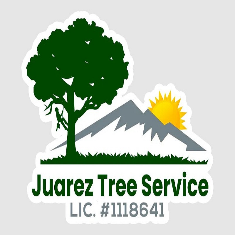 Julian Tree Care