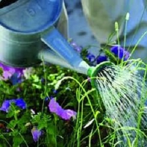 Landscaping Team