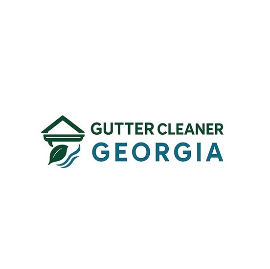 Gutter Cleaner Georgia