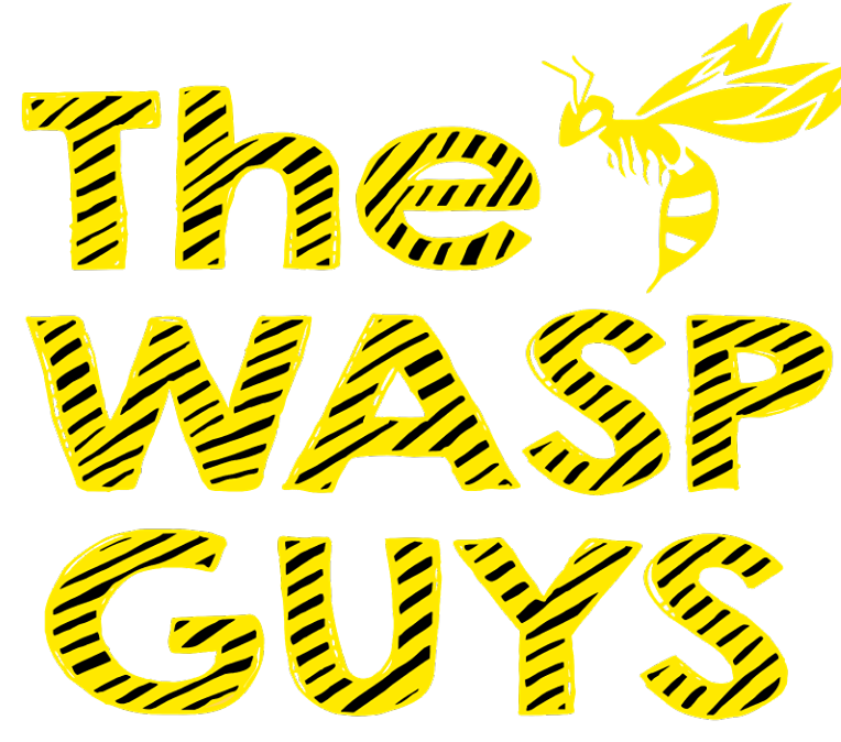 The Wasp Guys | Surrey Wasp Removal