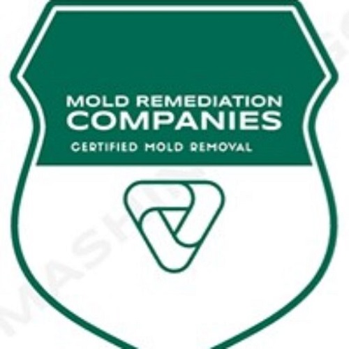 Lawrence Mold Remediation Pros
