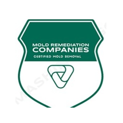 Kenosha Mold Remediation Pros