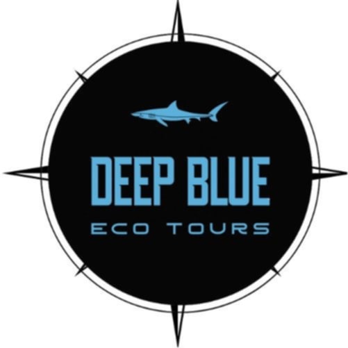 Deep Blue Eco Tours
