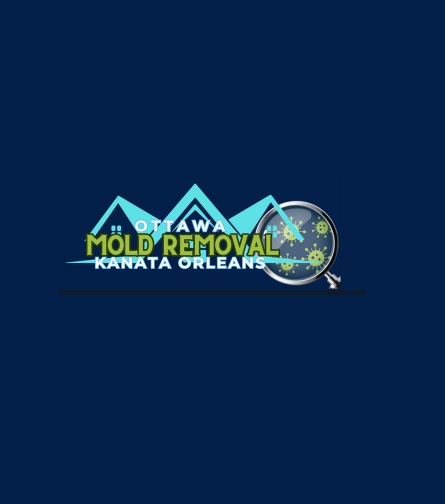 Ottawa Mold Removal-Orleans-Kanata